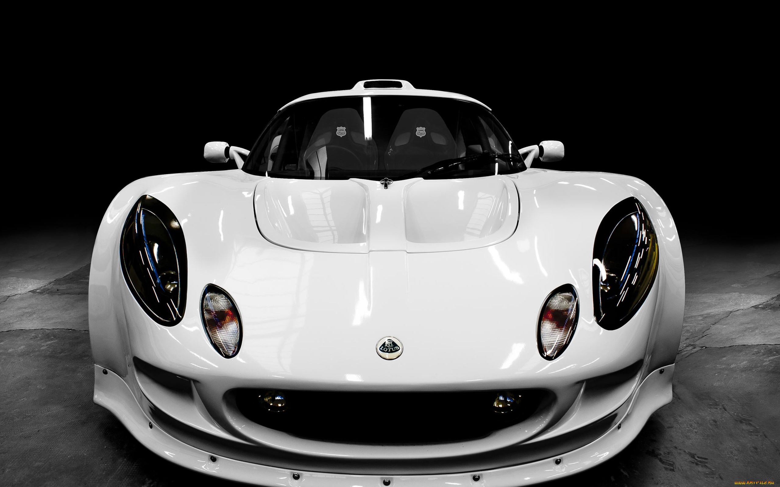 , lotus